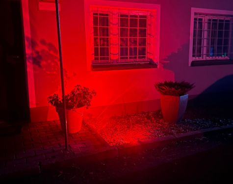 Zdjecie WhatsApp 11 19 o 17.08.44 98100611 719