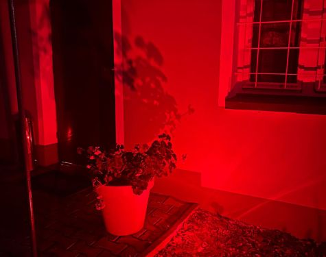 Zdjecie WhatsApp 11 19 o 17.08.44 a5deb42c 720